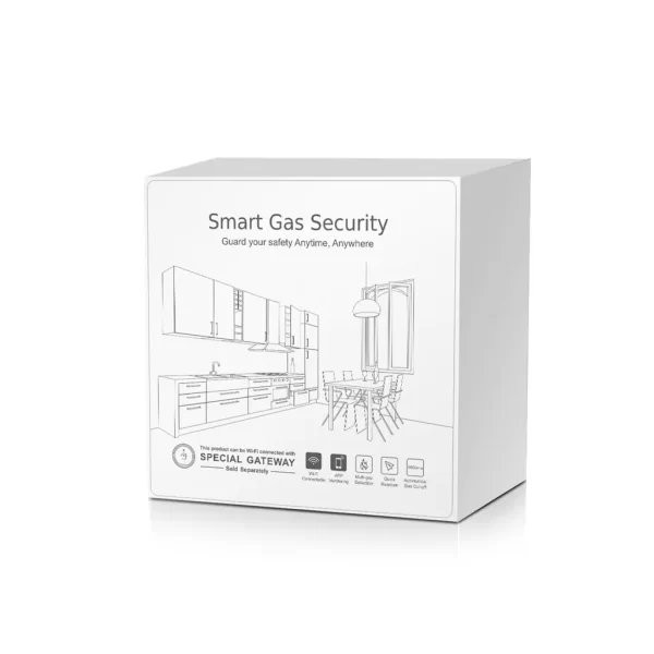 pachet detector de gaz poer smart psg10 si electrovalva 04.jpg